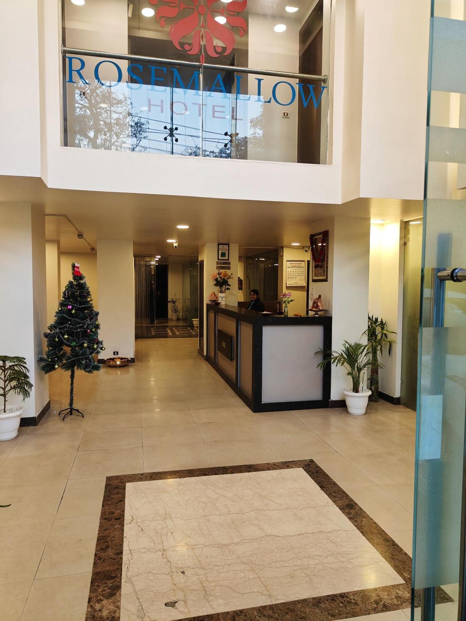 Rosemallow Hotel New Delhi Exterior foto